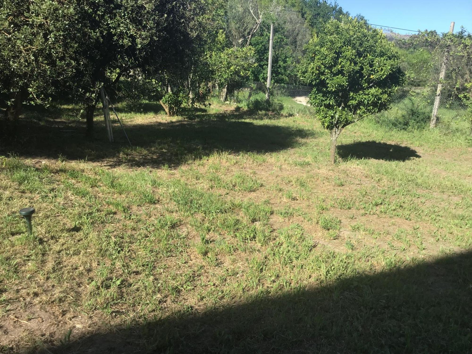 فيلا Quinta Dos Trilhos فافي المظهر الخارجي الصورة